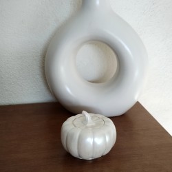 Calabaza blanca decorativa